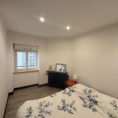 Duplex T3 6 Pers Between Train Station And Chateau D'angers *